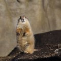 IMG_1418686