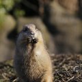 IMG_1418691