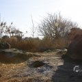 IMG_1418695