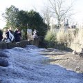 IMG_1418696