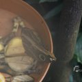 IMG_1418697
