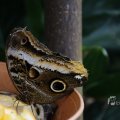 IMG_1418698