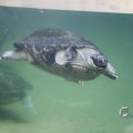 IMG_1418700