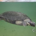 IMG_1418702