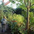 IMG_1418705