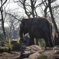 IMG_1418714
