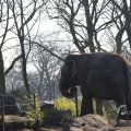 IMG_1418716