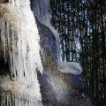 IMG_1418724