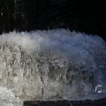 IMG_1418726