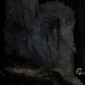 IMG_1418729