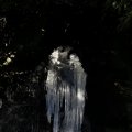 IMG_1418730