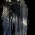 IMG_1418731