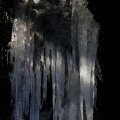 IMG_1418732