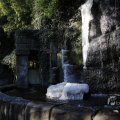 IMG_1418734