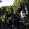 IMG_1418735