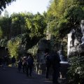 IMG_1418736