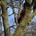 IMG_1418740