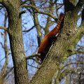 IMG_1418741