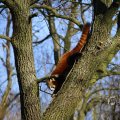 IMG_1418742