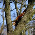 IMG_1418743