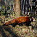 IMG_1418746