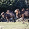 IMG_1418751