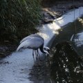 IMG_1418753