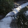 IMG_1418754