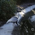 IMG_1418755