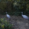 IMG_1418758