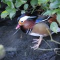 IMG_1418759
