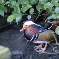 IMG_1418760