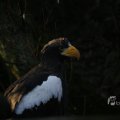 IMG_1418761