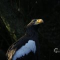 IMG_1418762