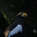 IMG_1418763
