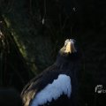 IMG_1418764
