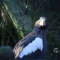 IMG_1418765