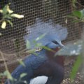 IMG_1418904