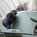 IMG_1418908