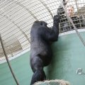 IMG_1418909