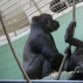 IMG_1418912
