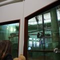 IMG_1418916