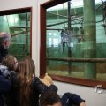 IMG_1418918
