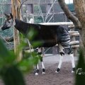IMG_1418925
