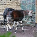 IMG_1418927