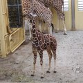IMG_1418937