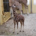 IMG_1418939