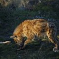 IMG_1418945