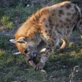 IMG_1418948