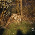 IMG_1418951